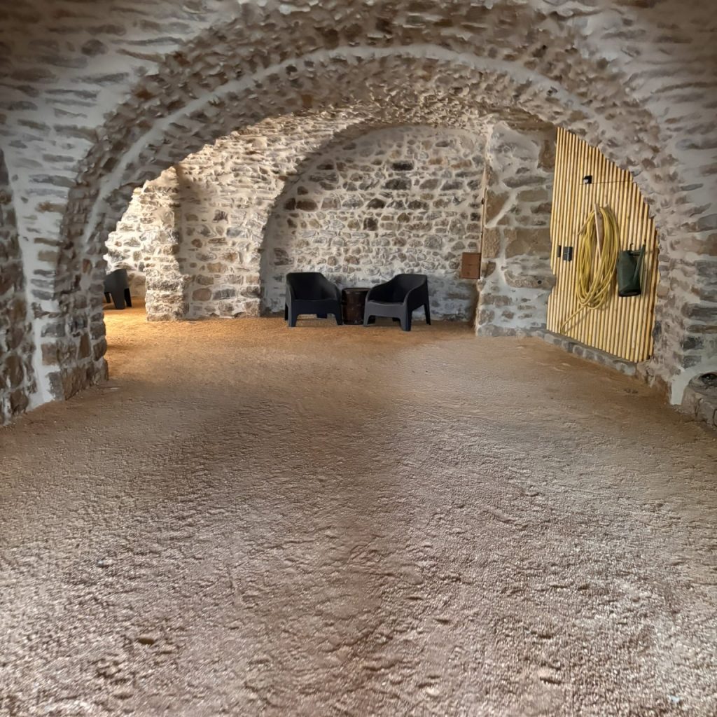 IMG_2390